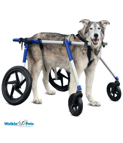 Walkin’ Wheels Full Support Quad 4 Wheel - Dog Wheelchair LARGE (31 - 82kg)