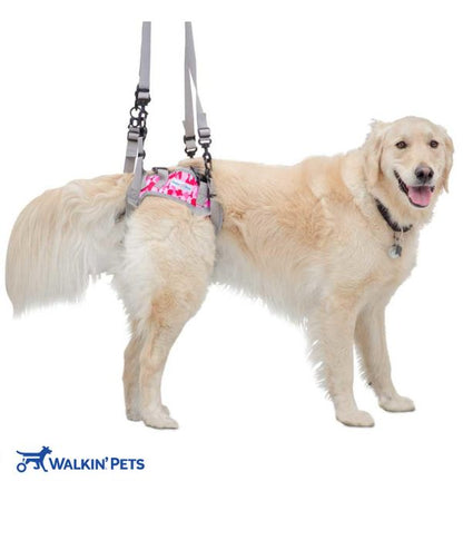 Rear Warrior Harness for Walkin Wheelchair