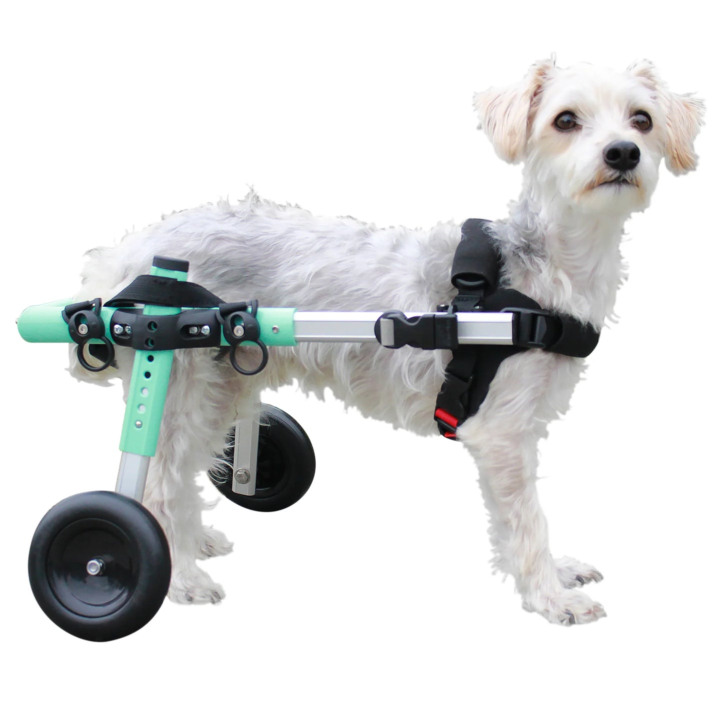 Walkin’ Wheels SMALL Dog Wheelchair (3.5 - 11kg)