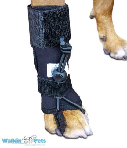 Front No-Knuckling Training Sock