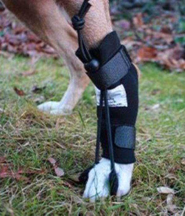 Rear No-Knuckling Training Sock