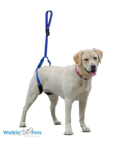 Walkin' Up-n-Go Rear Support Leash