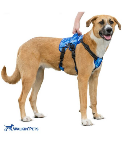 Buddy-Up Front Harness