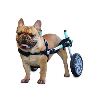 Walkin’ Wheels SMALL Dog Wheelchair (3.5 - 11kg)