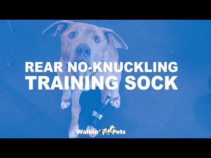 Rear No-Knuckling Training Sock