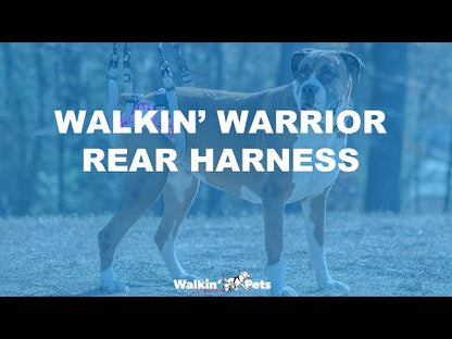 Rear Warrior Harness for Walkin Wheelchair