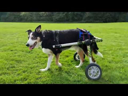 Walkin’ Wheels MEDIUM Dog Wheelchair (11 - 30kg)