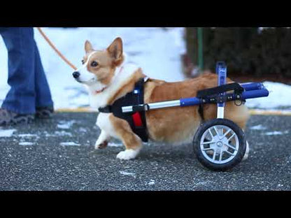 Walkin’ Wheels CORGI Dog Wheelchair