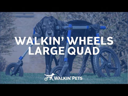 Walkin’ Wheels Full Support Quad 4 Wheel - Dog Wheelchair MEDIUM (11 - 30kg)