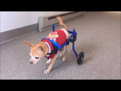 Walkin’ Wheels MINI Dog Wheelchair (less than 3.5kg)