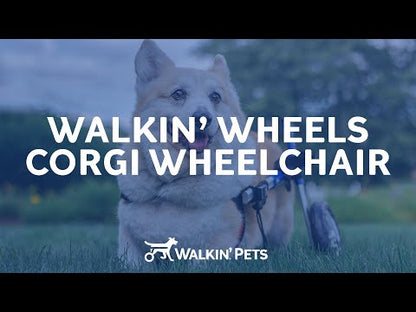 Walkin’ Wheels CORGI Dog Wheelchair