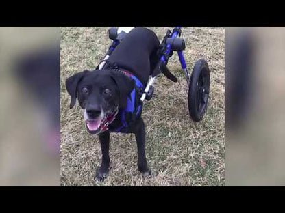 Walkin’ Wheels LARGE Dog Wheelchair (31 - 82kg)