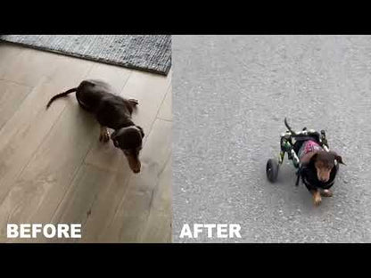 Walkin’ Wheels DACHSHUND Dog Wheelchair