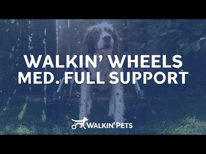 Walkin’ Wheels Full Support Quad 4 Wheel - Dog Wheelchair MEDIUM (11 - 30kg)