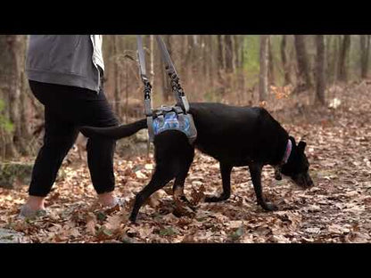 Rear Warrior Harness for Walkin Wheelchair