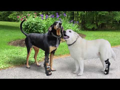 Walkin' Fully Adjustable Dog Leg Splint