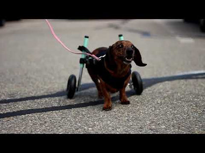 Walkin’ Wheels SMALL Dog Wheelchair (3.5 - 11kg)