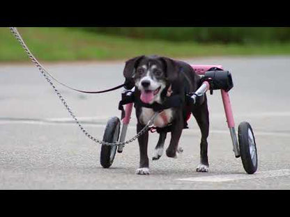 Walkin’ Wheels MEDIUM Dog Wheelchair (11 - 30kg)