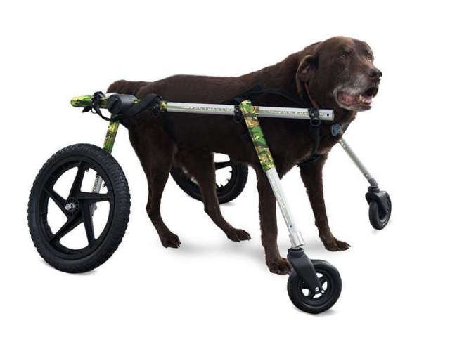 large full support dog wheelchair